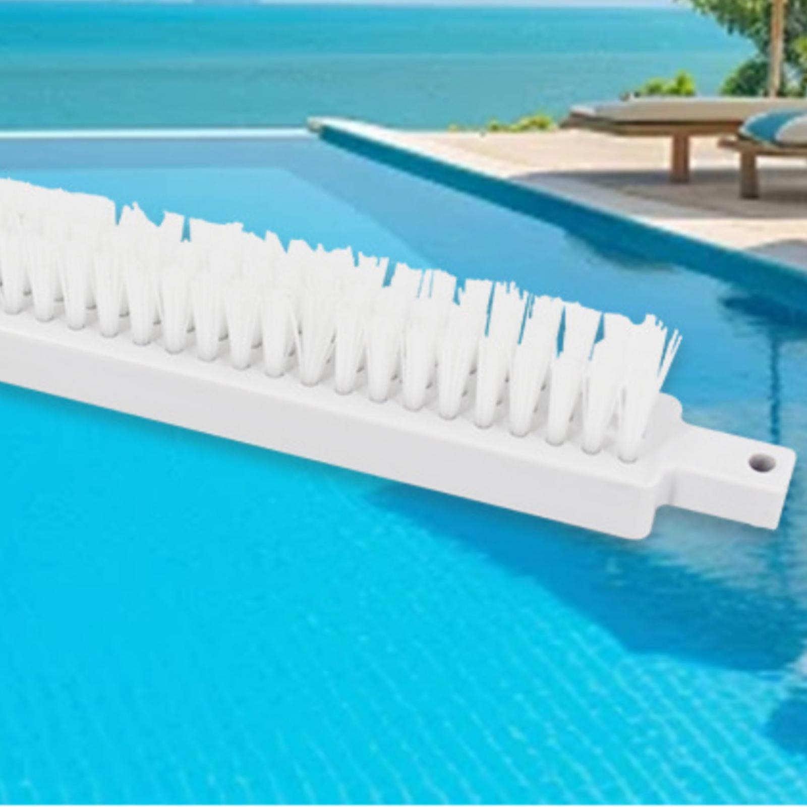 Alüminyum Alaşımlı Başlık için - Pool Vacuum Head Brush incelemesi ve fiyatı